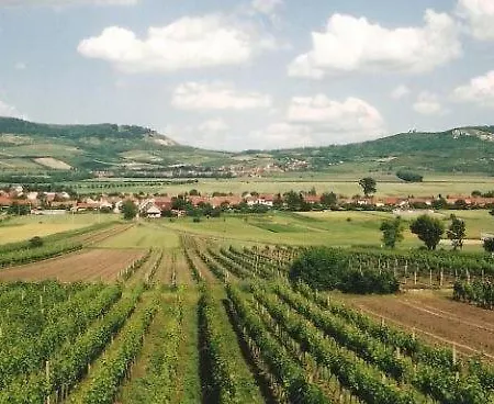 Affittacamere Zeleny Sklep Dolní Dunajovice