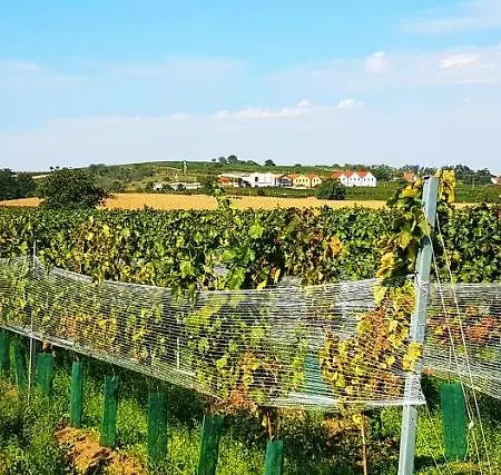 Affittacamere Zeleny Sklep