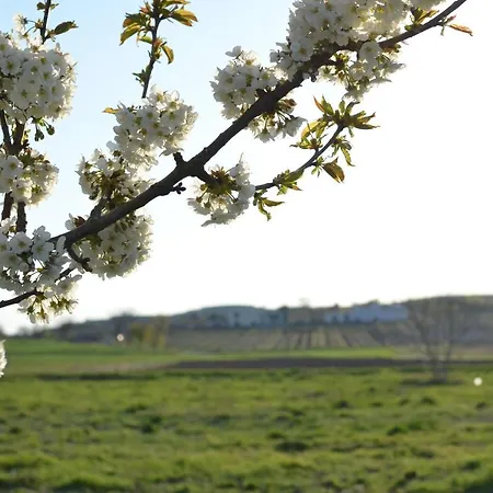 Zeleny Sklep Affittacamere 3*