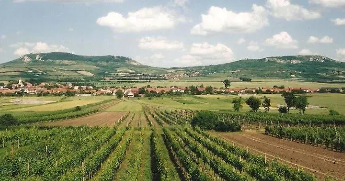 بيت ضيافة Zeleny Sklep Dolní Dunajovice