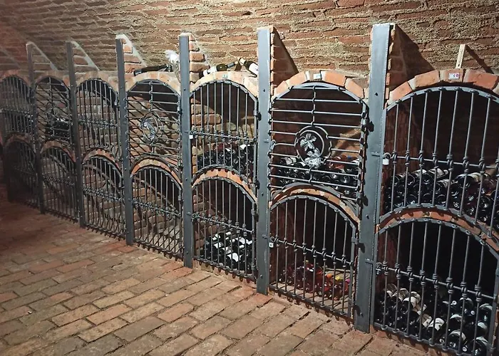 بيت ضيافة Zeleny Sklep Dolní Dunajovice
